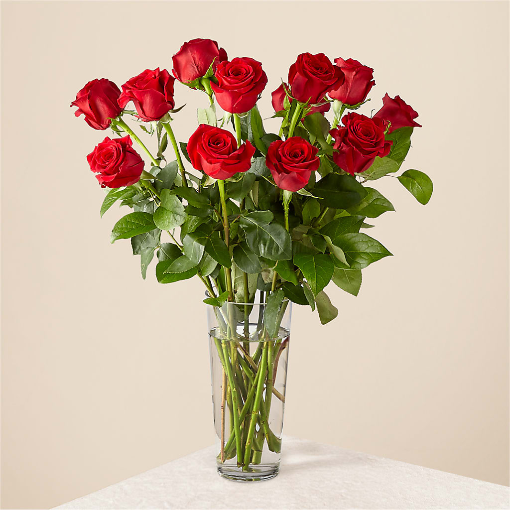 Long Stem Red Rose Bouquet – Park Avenue Florist, Orange Park FL