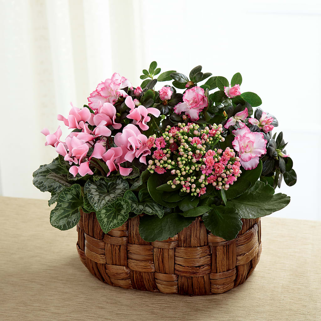 Pink Assortment – Park Avenue Florist, Orange Park FL