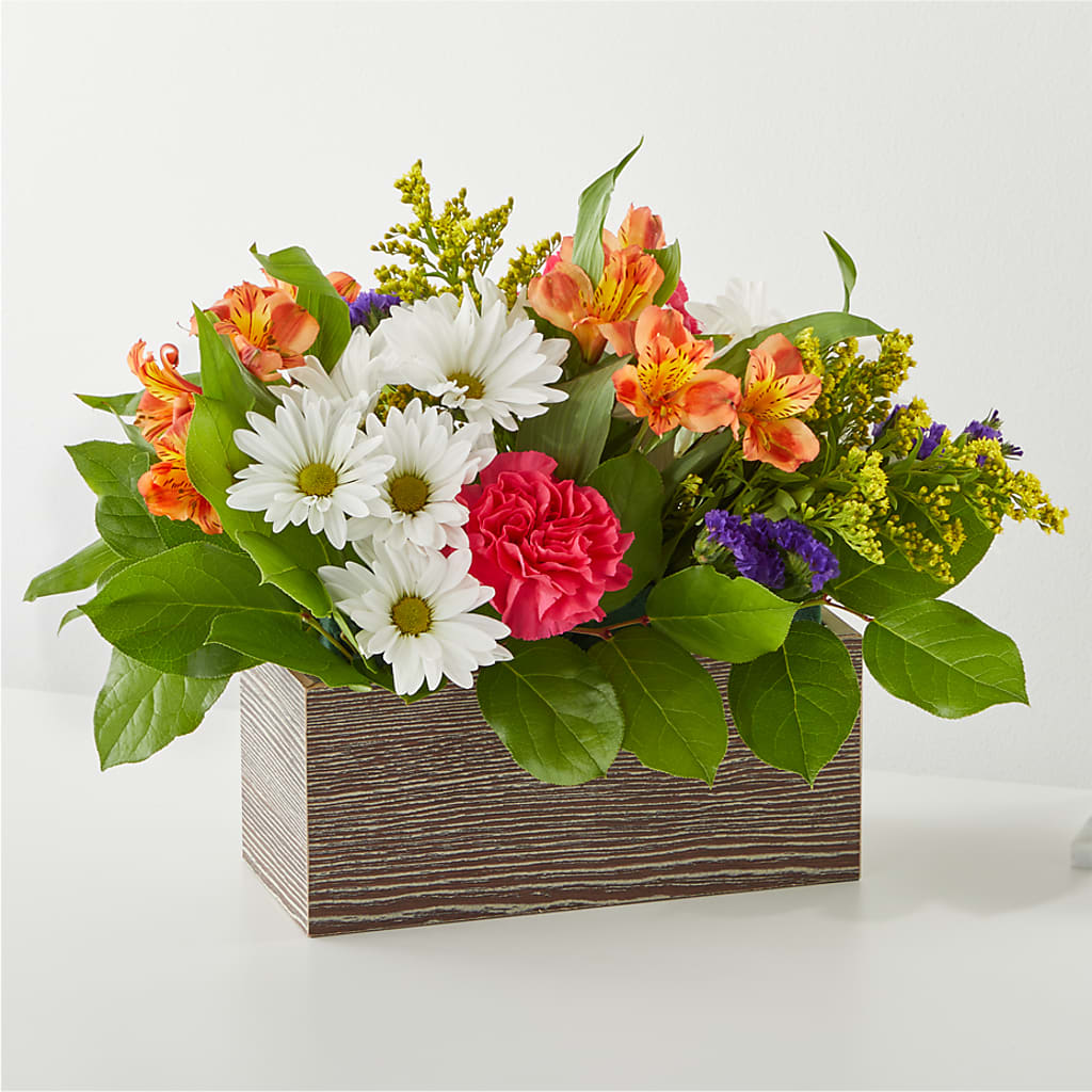 Oopsie Daisy Box Bouquet – Park Avenue Florist, Orange Park FL
