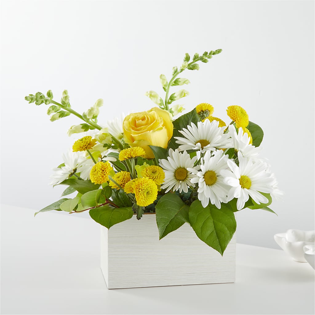 Sun Salutation Box Bouquet – Park Avenue Florist, Orange Park FL