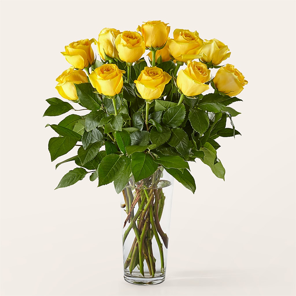 Long Stem Yellow Rose Bouquet – Park Avenue Florist, Orange Park FL