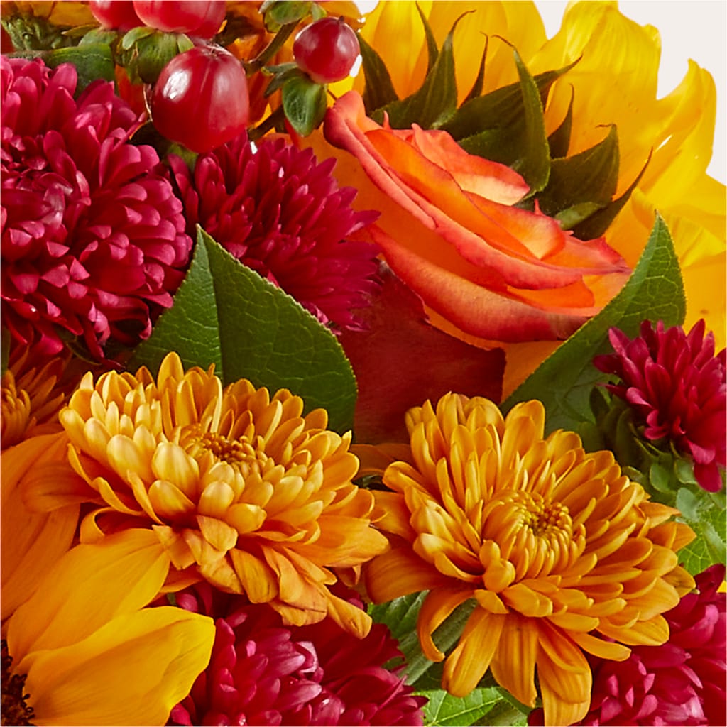 Sweater Season - A Florist Original – Park Avenue Florist, Orange Park FL