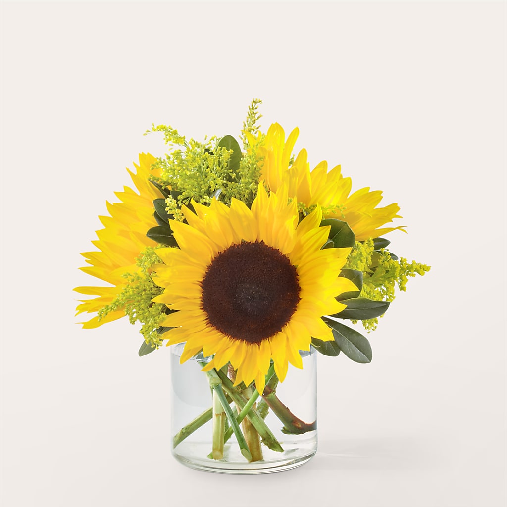 Beaming Sunflower Bouquet – Park Avenue Florist, Orange Park FL