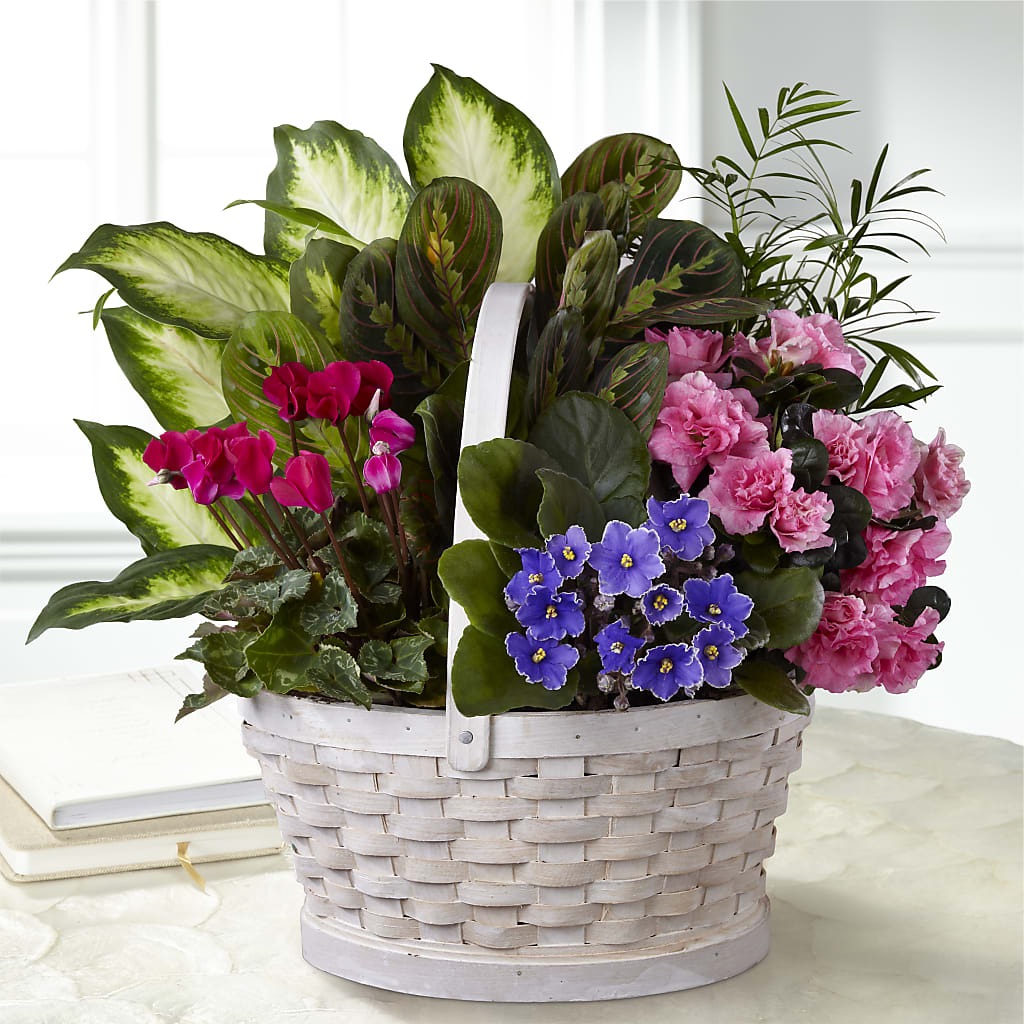 Peaceful Garden Planter – Park Avenue Florist, Orange Park FL