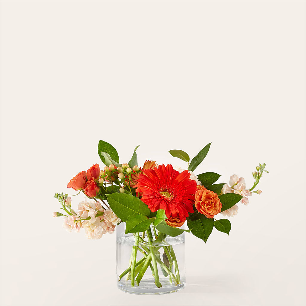 Paloma Please Bouquet – Park Avenue Florist, Orange Park FL