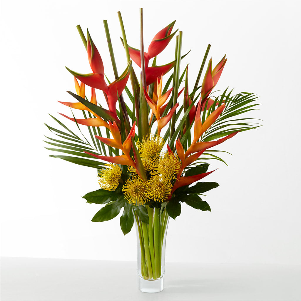 The Drama – Park Avenue Florist, Orange Park FL