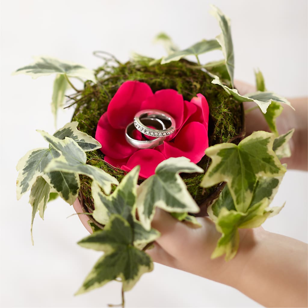 Lila Rose Ring Nest – Park Avenue Florist, Orange Park FL