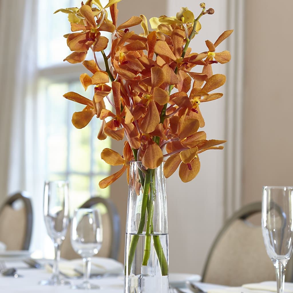 Orange Mokara Bud Vase – Park Avenue Florist, Orange Park FL