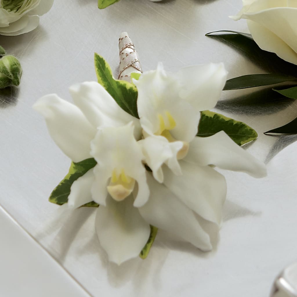 White Mini Cymbidium Boutonniere – Park Avenue Florist, Orange Park FL