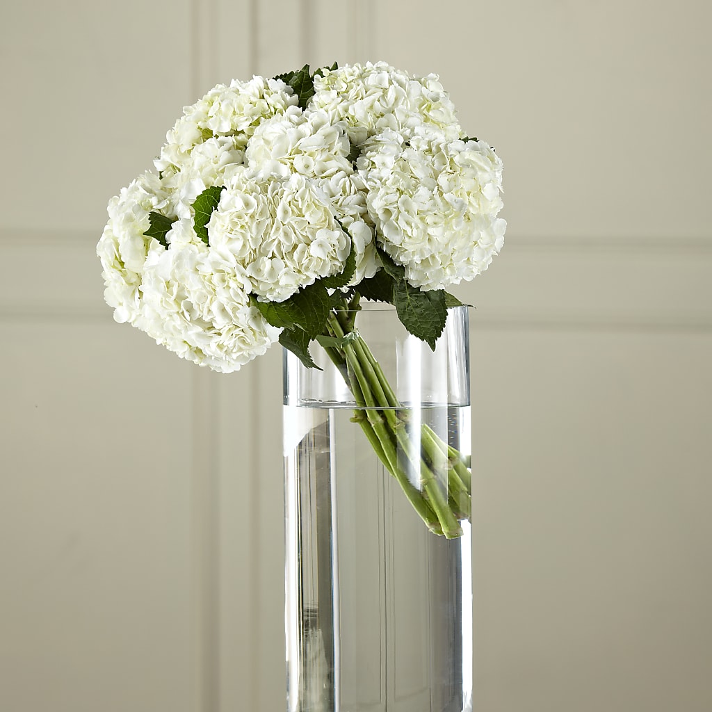 White Hydrangea Hand-Tied Bouquet – Park Avenue Florist, Orange Park FL