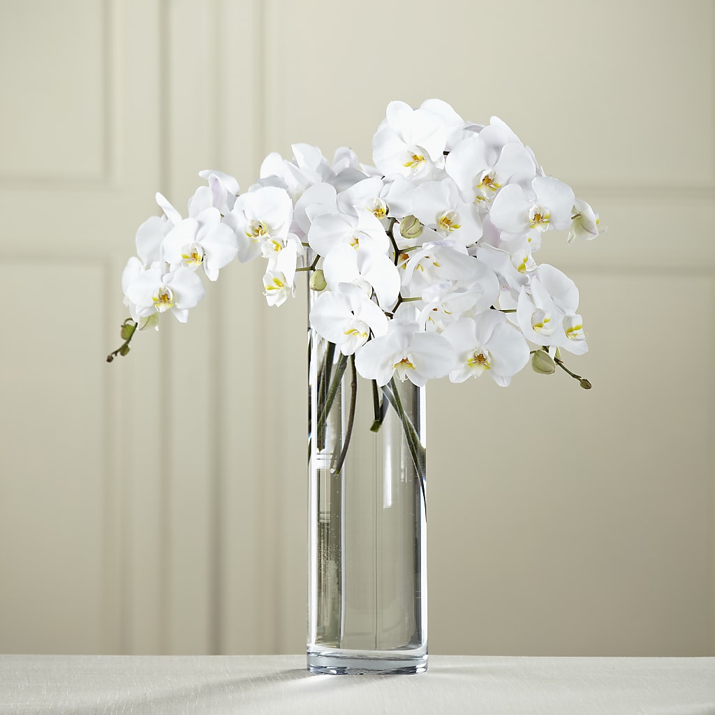 White Phalaenopsis Bouquet – Park Avenue Florist, Orange Park FL