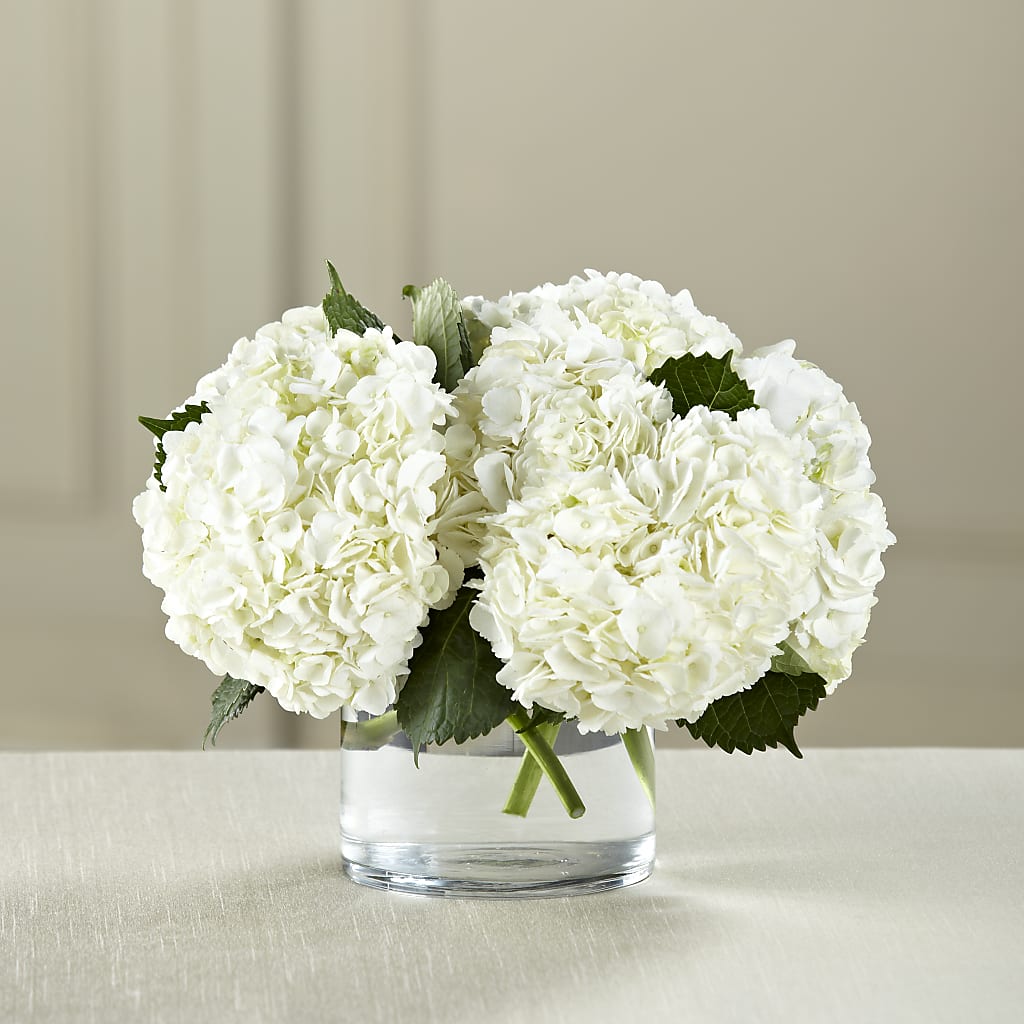 White Hydrangea Bouquet – Park Avenue Florist, Orange Park FL