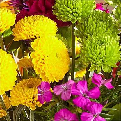 Bold & Bright – A Florist Original –  Park Avenue Florist, Orange Park FL