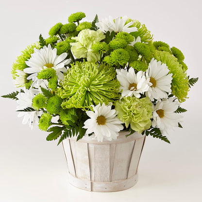 Lucky Charm Basket (Standard) –  Park Avenue Florist, Orange Park FL