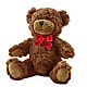 Adorable Plush Bear –  Park Avenue Florist, Orange Park FL
