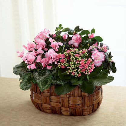 Pink Assortment –  Park Avenue Florist, Orange Park FL