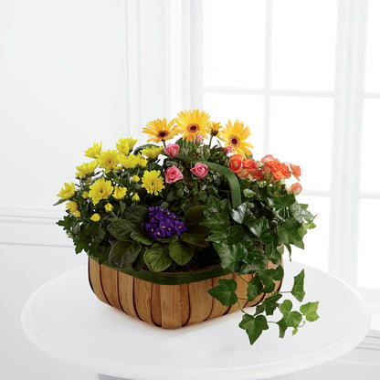 Gentle Blossoms Basket –  Park Avenue Florist, Orange Park FL