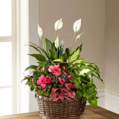 Dream in Pink Dishgarden –  Park Avenue Florist, Orange Park FL