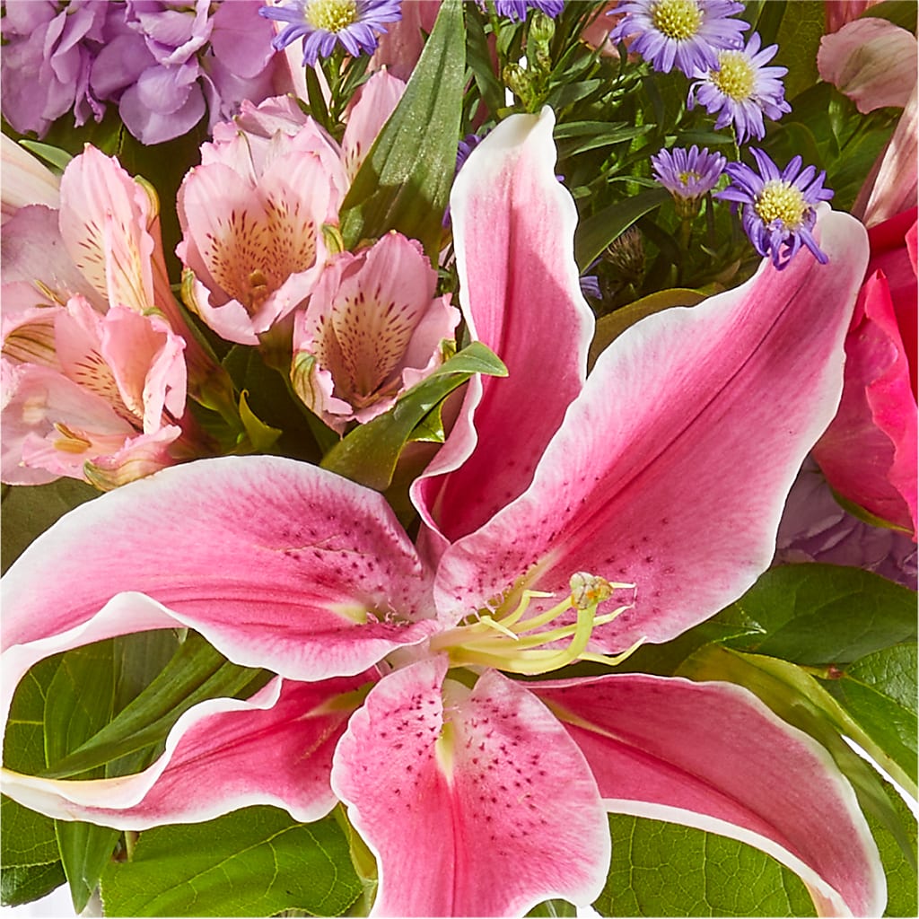 Written in the Stars Bouquet –  Park Avenue Florist, Orange Park FL