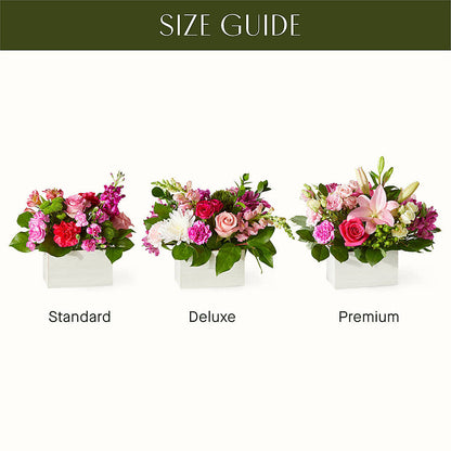 Sweetberry Box – A Florist Original –  Park Avenue Florist, Orange Park FL