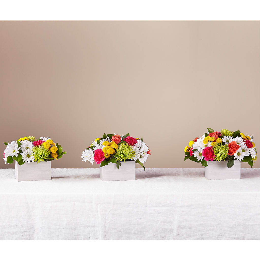 Sorbet Bouquet –  Park Avenue Florist, Orange Park FL