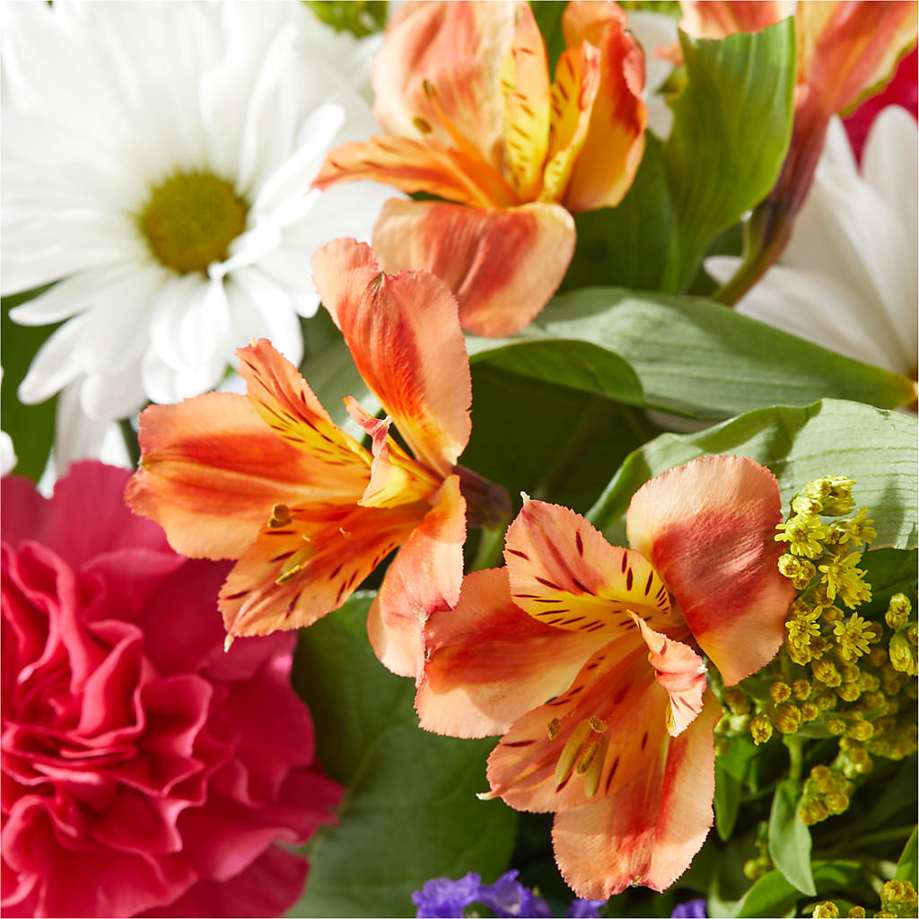 Oopsie Daisy Box Bouquet –  Park Avenue Florist, Orange Park FL