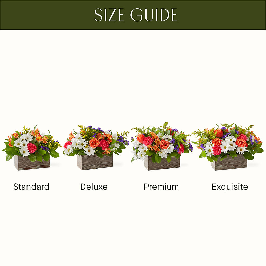 Oopsie Daisy Box Bouquet –  Park Avenue Florist, Orange Park FL