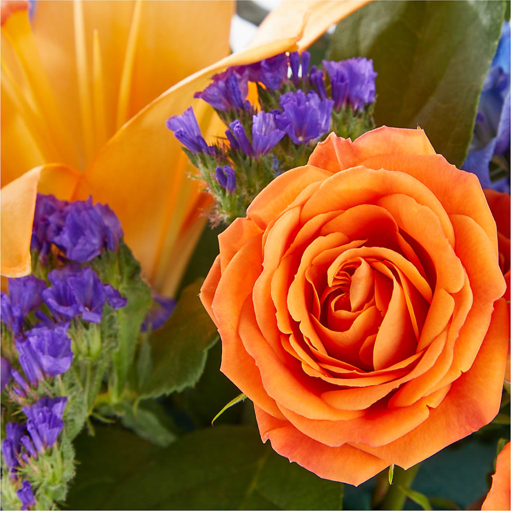 Radiant Citrus Box Bouquet –  Park Avenue Florist, Orange Park FL
