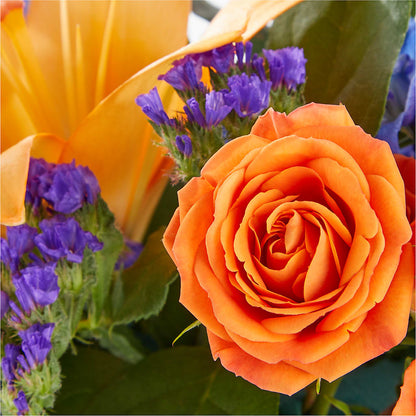 Radiant Citrus Box Bouquet –  Park Avenue Florist, Orange Park FL