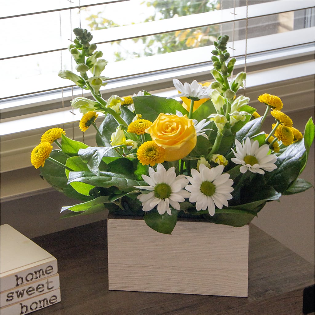 Sun Salutation Box Bouquet –  Park Avenue Florist, Orange Park FL