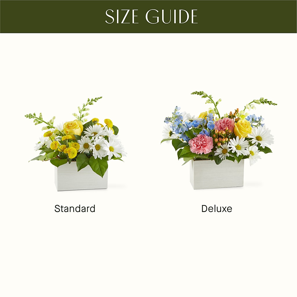 Sun Salutation Box Bouquet –  Park Avenue Florist, Orange Park FL