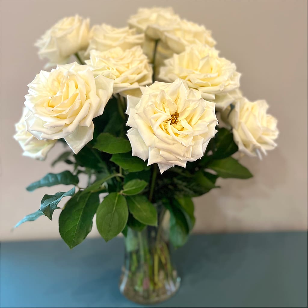 Long Stem Yellow Rose Bouquet –  Park Avenue Florist, Orange Park FL