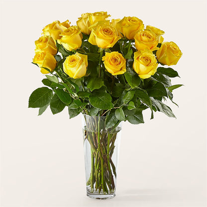 Long Stem Yellow Rose Bouquet –  Park Avenue Florist, Orange Park FL
