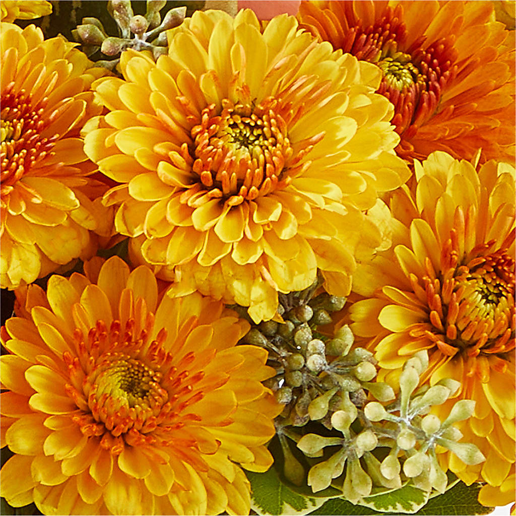 Peachy Pumpkin –  Park Avenue Florist, Orange Park FL
