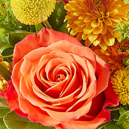 Gourdgeous Pumpkin –  Park Avenue Florist, Orange Park FL