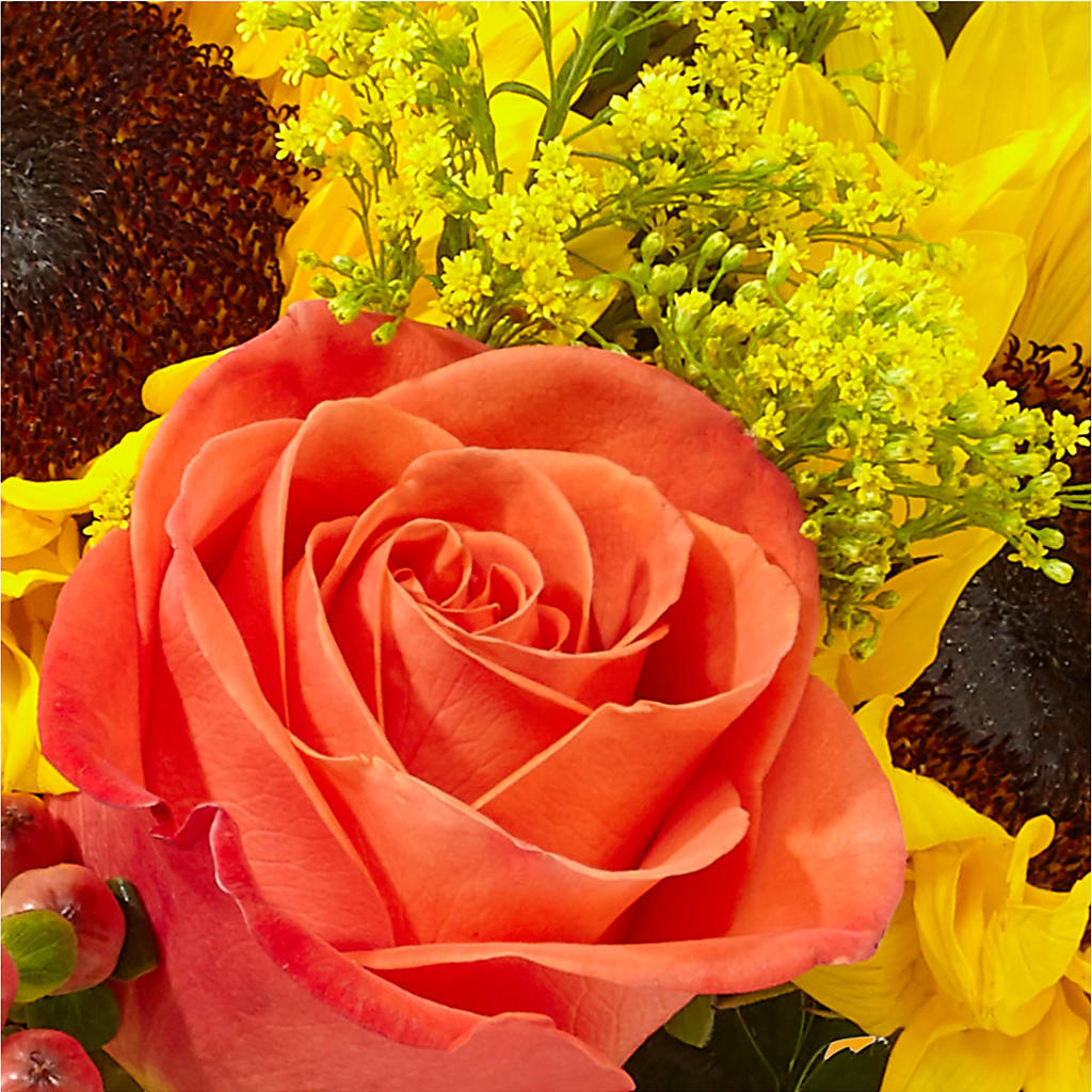 Pick of the Patch Pumpkin Bouquet –  Park Avenue Florist, Orange Park FL