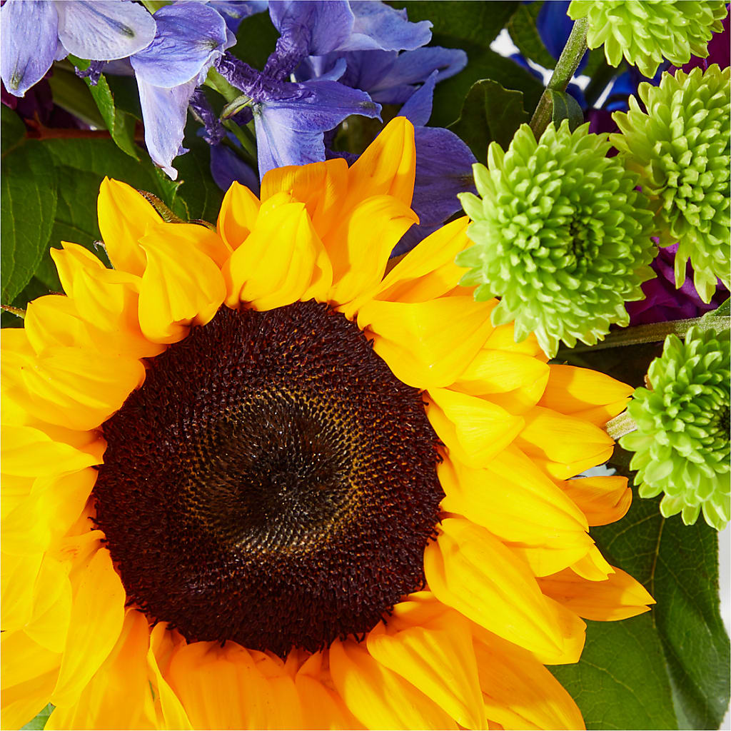 Catching Rays Bouquet –  Park Avenue Florist, Orange Park FL