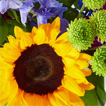 Catching Rays Bouquet –  Park Avenue Florist, Orange Park FL