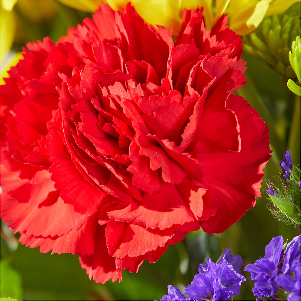 Brighter Days Bouquet –  Park Avenue Florist, Orange Park FL