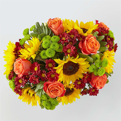 Happy Harvest Garden –  Park Avenue Florist, Orange Park FL