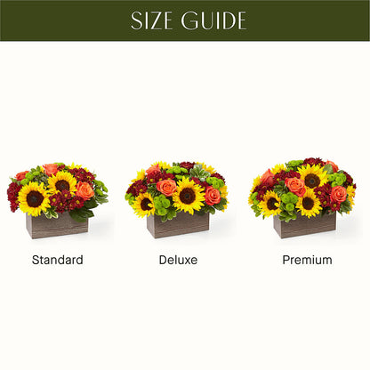 Happy Harvest Garden –  Park Avenue Florist, Orange Park FL