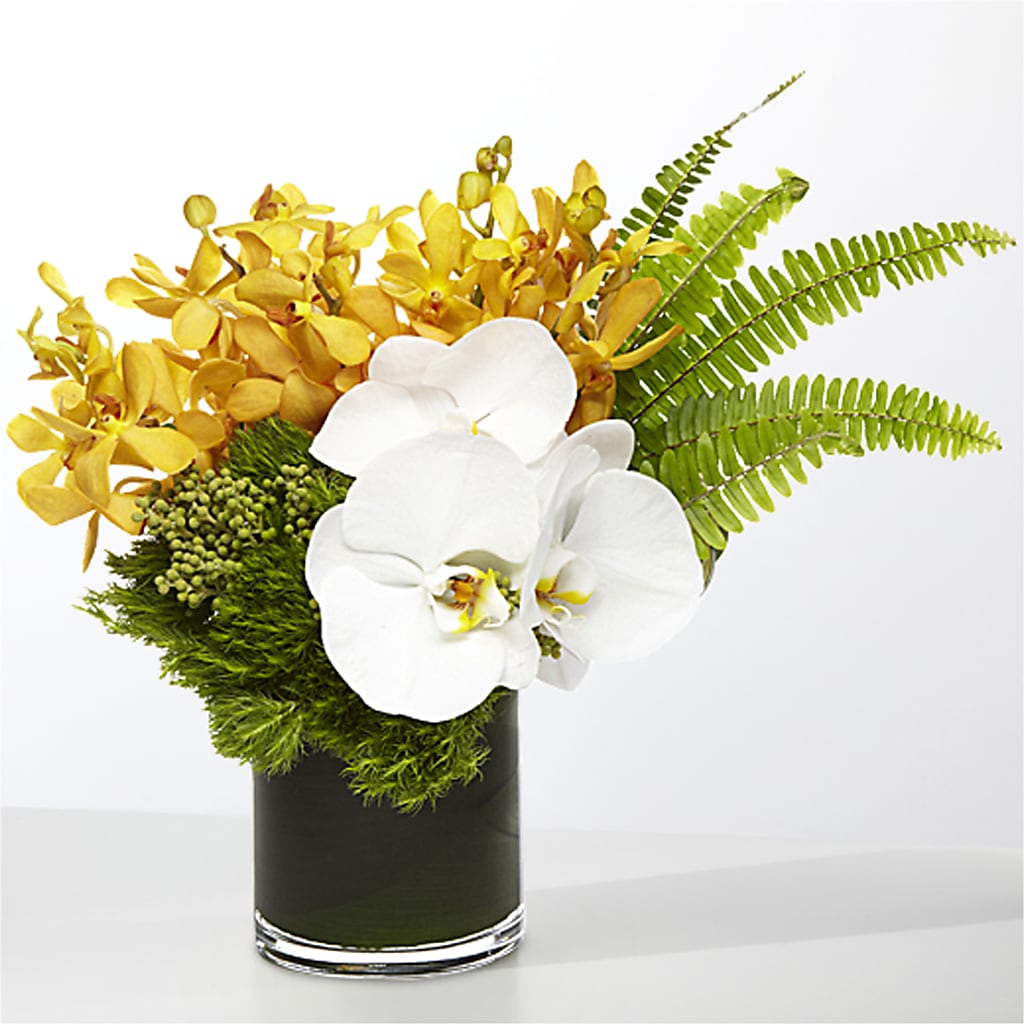 The Tropics –  Park Avenue Florist, Orange Park FL