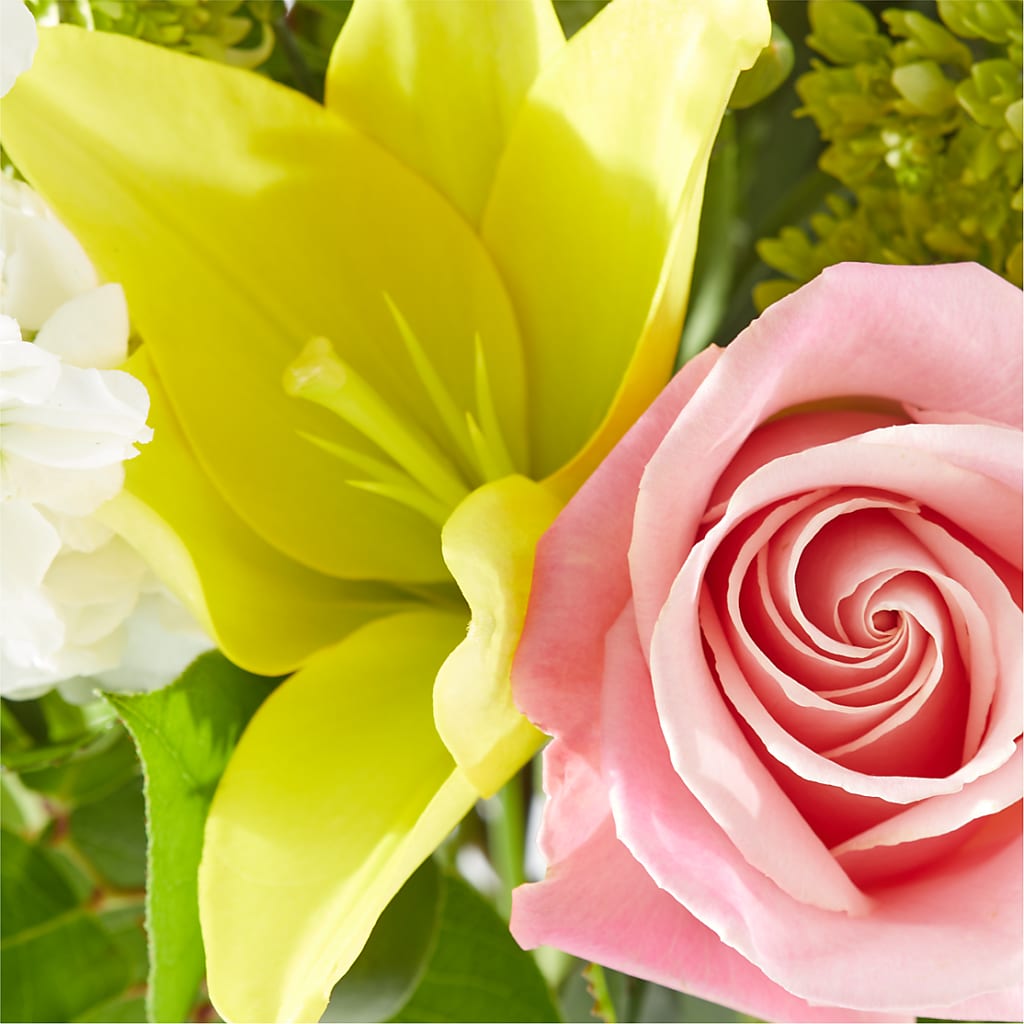 Garden Delight Bouquet –  Park Avenue Florist, Orange Park FL