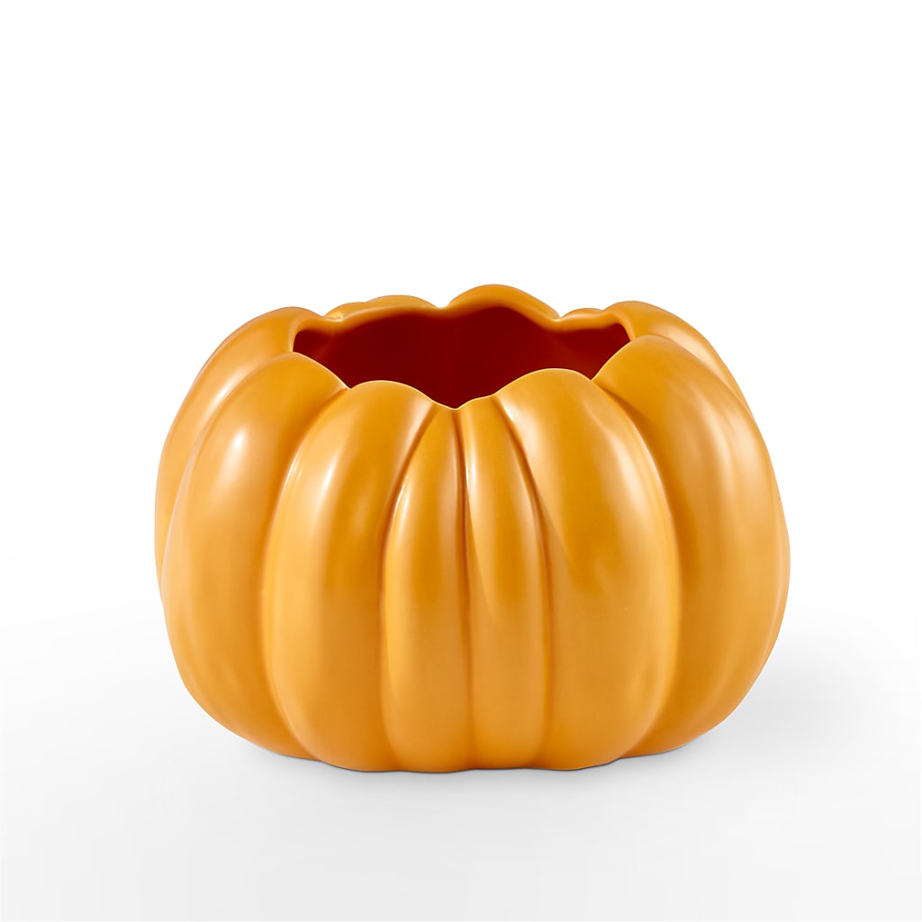 Pick of the Patch Pumpkin Bouquet –  Park Avenue Florist, Orange Park FL