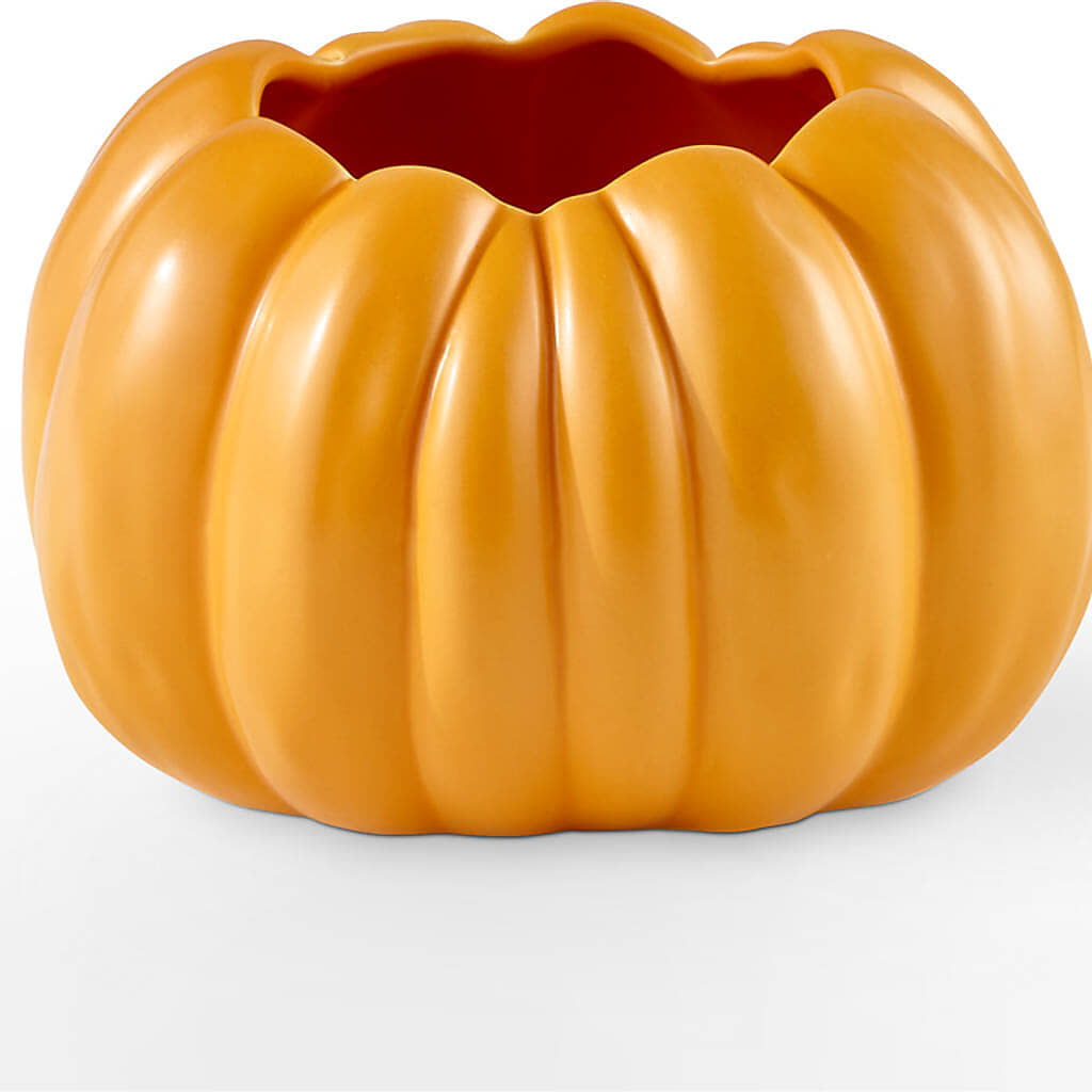 Golden Gourd Pumpkin Bouquet –  Park Avenue Florist, Orange Park FL