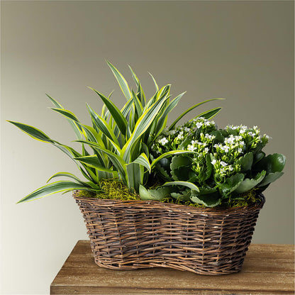 Blooming Garden –  Park Avenue Florist, Orange Park FL
