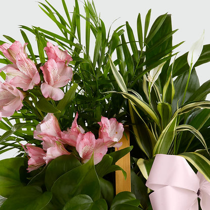 Living Spirit Dishgarden –  Park Avenue Florist, Orange Park FL