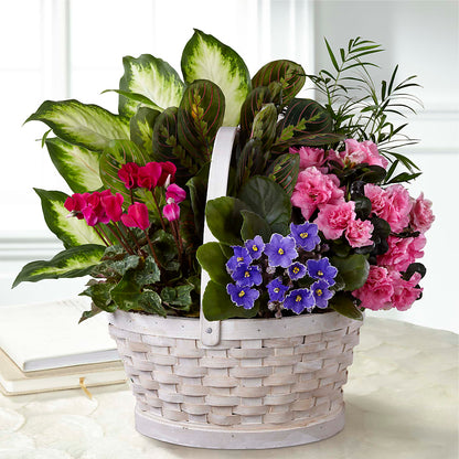 Peaceful Garden Planter –  Park Avenue Florist, Orange Park FL