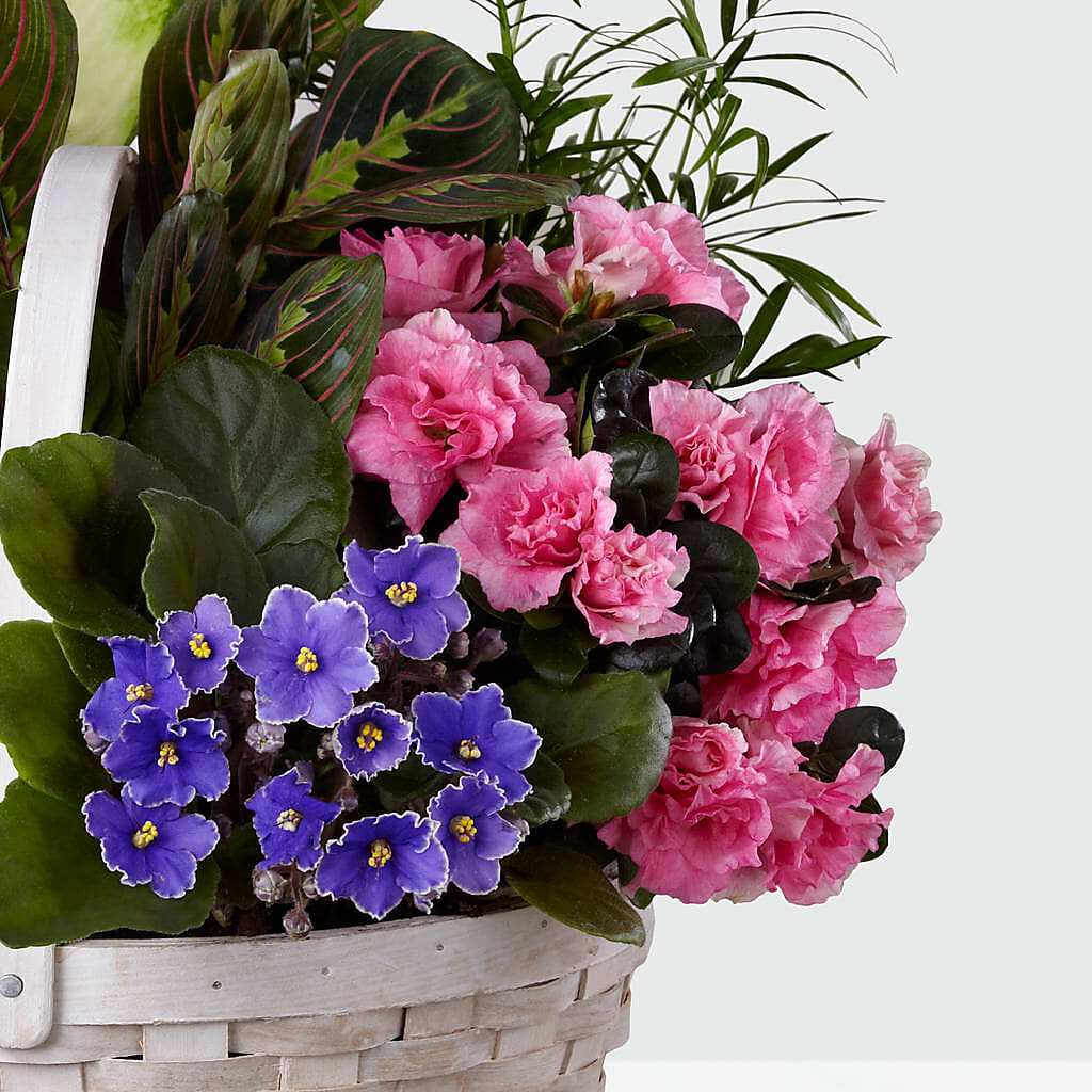 Peaceful Garden Planter –  Park Avenue Florist, Orange Park FL