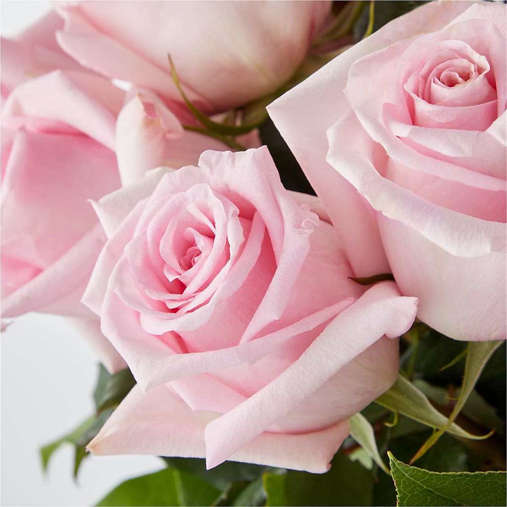 Picture Perfect Pink Rose Bouquet –  Park Avenue Florist, Orange Park FL